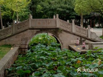 19年中秋诸暨游记 暑假苦逼的娃参加大大小小的补课
