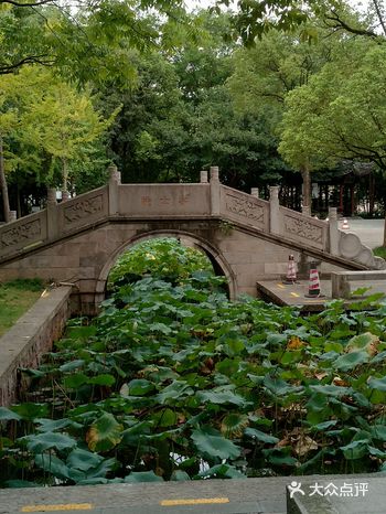 19年中秋诸暨游记 暑假苦逼的娃参加大大小小的补课
