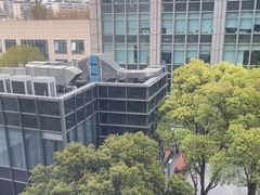 -智课教育国际高中备考托福雅思SATIB A-level AP国际课程中心(静安校区)