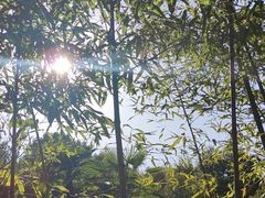 -咸宁万豪温泉谷度假区