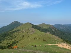 -大姆山草场