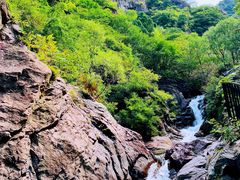 -云岫谷游猎自然风景区