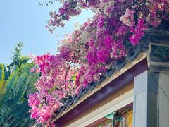 -深圳国际园林花卉博览园