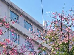 -洲头咀公园