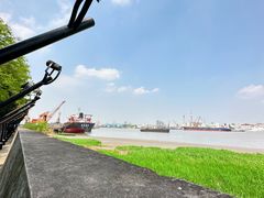 -上海共青森林公园