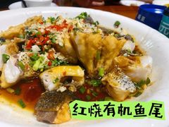 -全乐鱼馆·淳牌有机鱼直营店
