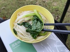 -上海滨江森林公园