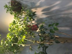 -discovery 发现 hair salon