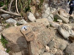 -西涌国际滨海旅游区