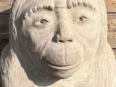 -西侯度遗址