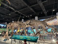 -国家自然博物馆