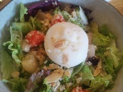 -Wagas沃歌斯(汇智店)