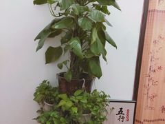 -老成都·古法采耳·禅洗头疗(四川总店)
