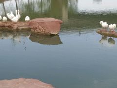 -小绿谷公园