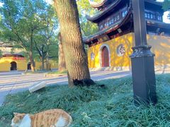 -西园戒幢律寺
