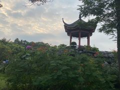 -顺峰山公园