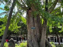 -苏州碑刻博物馆