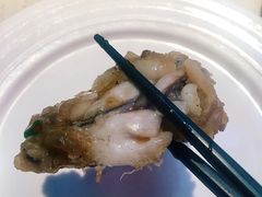 青椒紫苏味-蛙宝厨