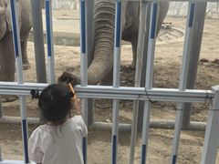 -新疆天山野生动物园