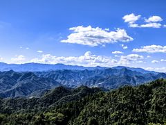 -浔味·山屿湖·正宗全鱼宴老字号