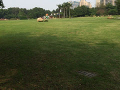 iphone_upload_pic-花都广场