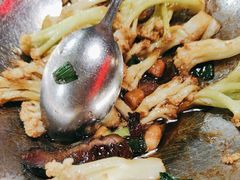 -新白鹿餐厅(百联中环店)