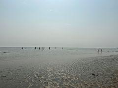 -合肥滨湖国家森林公园