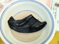 -五福堂龟苓膏(河东北山店)
