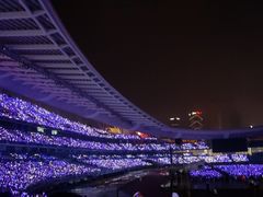 -南京奥林匹克体育中心-体育馆