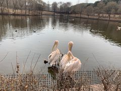 -沈阳森林动物园