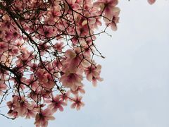 -首都师范大学科德学院