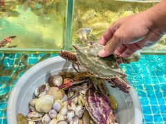 -庆山饭店·海鲜饺子家常菜(北戴河黑石路店)