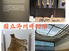 -七星路步行街