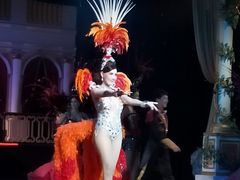 -金东尼人妖秀