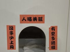 -楼上猫咖(罗湖店)