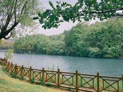 -白马涧龙池景区