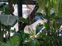 -北马山庄植趣咖啡