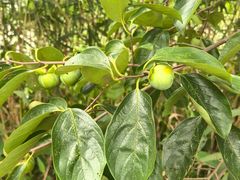 -梁鸿国家湿地公园