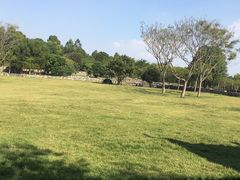 -聚龙山公园