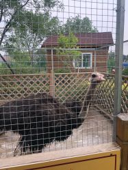 -萌宠亲子动物乐园(槐房万达店)