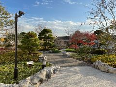 -上海滨江森林公园