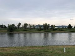 -羊亭河湿地公园