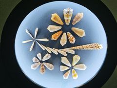 -中国湿地博物馆