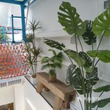人在花间住人在草木中～咖啡馆里有个小小植物园