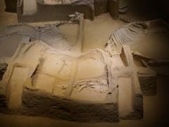 -洛阳周王城天子驾六博物馆