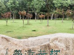 -暨阳湖生态园