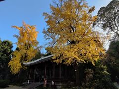 -成都杜甫草堂博物馆