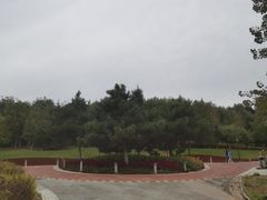 -莫子山公园