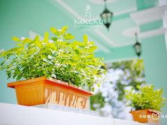 -龙环葡韵住宅式博物馆