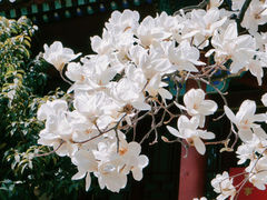 -湛山寺